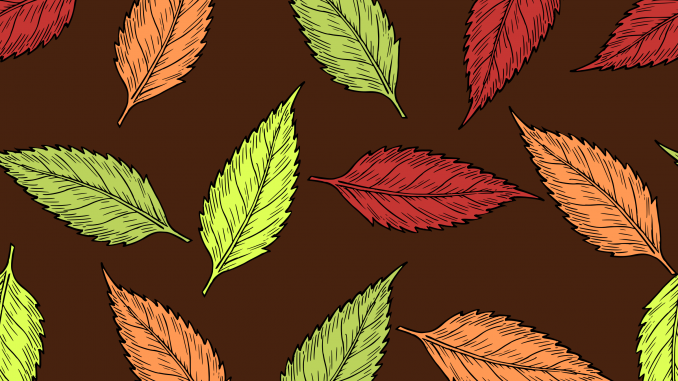 autumn-leaves-vector-clipart